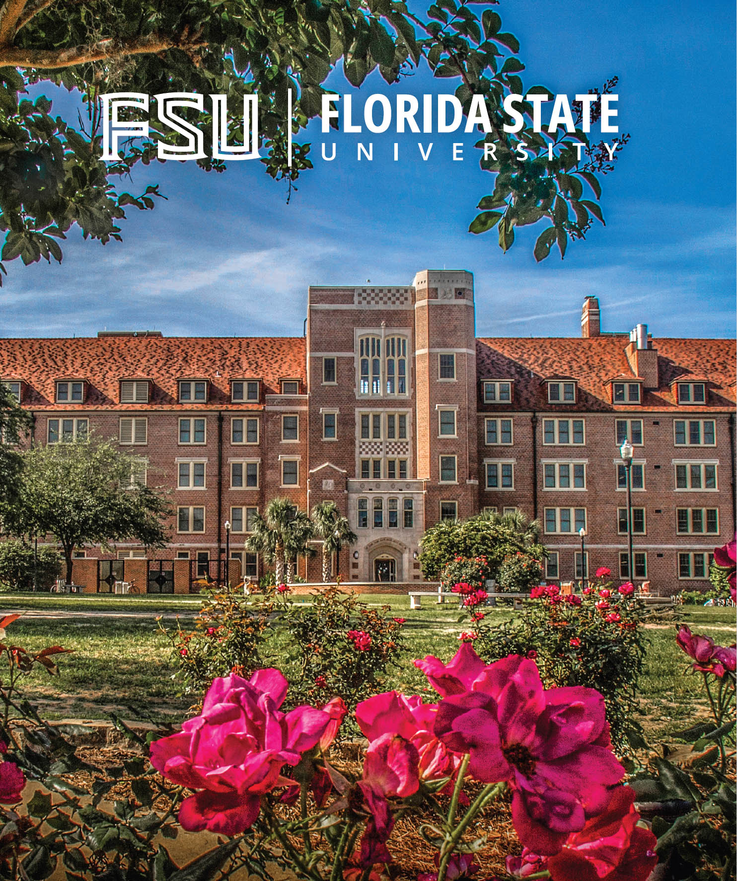 University Viewbook (PDF)